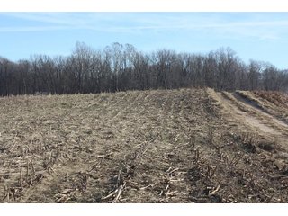 Property photo 6 - LAND AUCTION - 60+/- ACRES IN 1 TRACT IN DAVIESS COUNTY, INDIANA